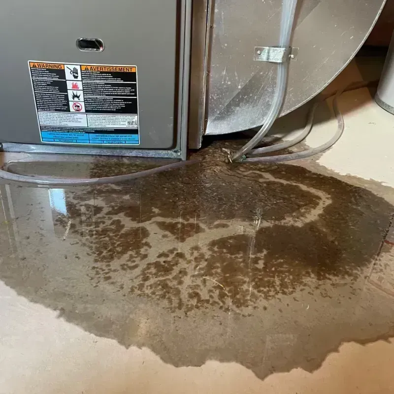 Appliance Leak Cleanup in Wellston, MO